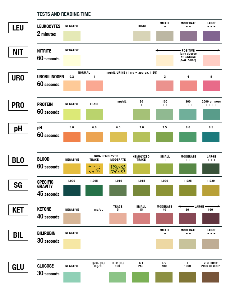 very-high-urine-ph-8-5-page-2-babycenter